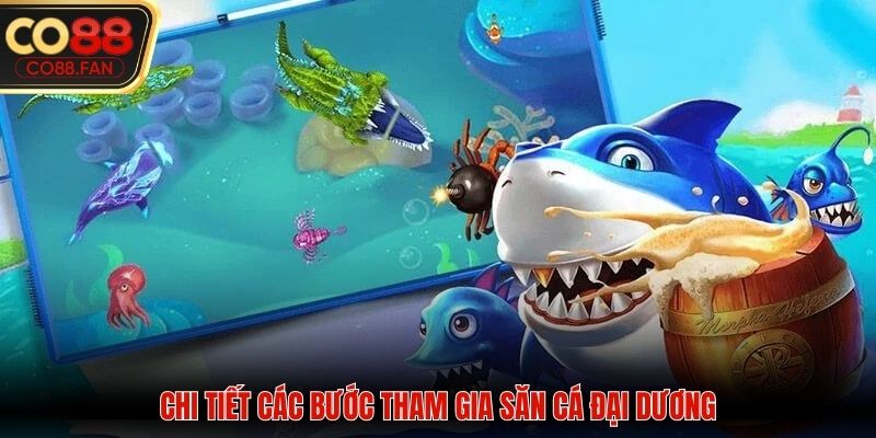 Chi tiết các bước tham gia săn cá đại dương