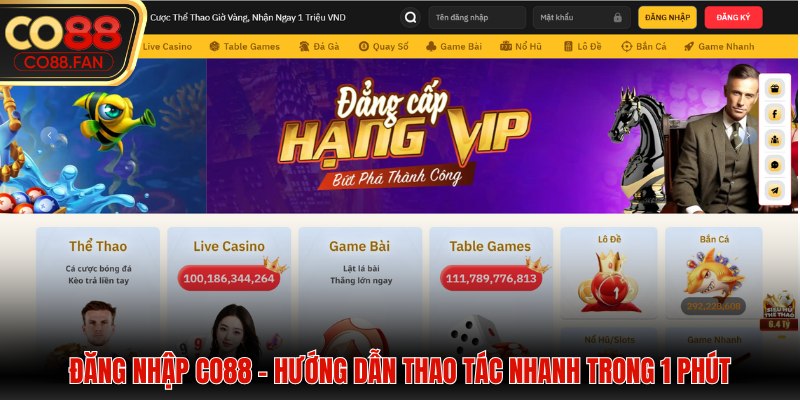 Đăng nhập CO88
