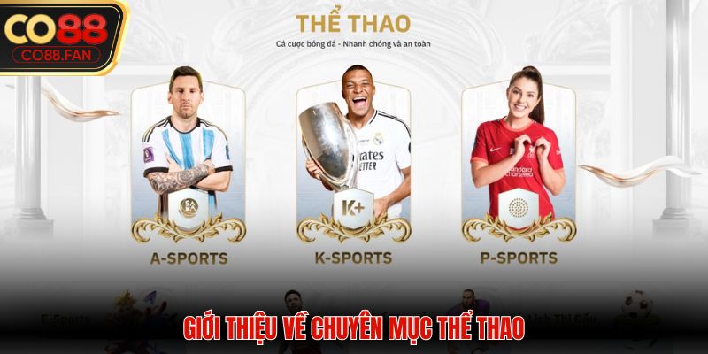Giới thiệu CO88 đôi nét về chuyên mục Thể Thao