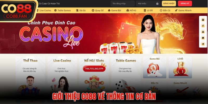 Giới thiệu CO88 về những nội dung sơ lược