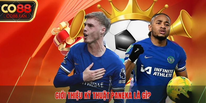 Giới thiệu kỹ thuật Paneka là gì?