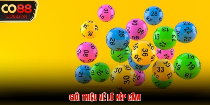 Thông tin giải mã lô kép câm là gì