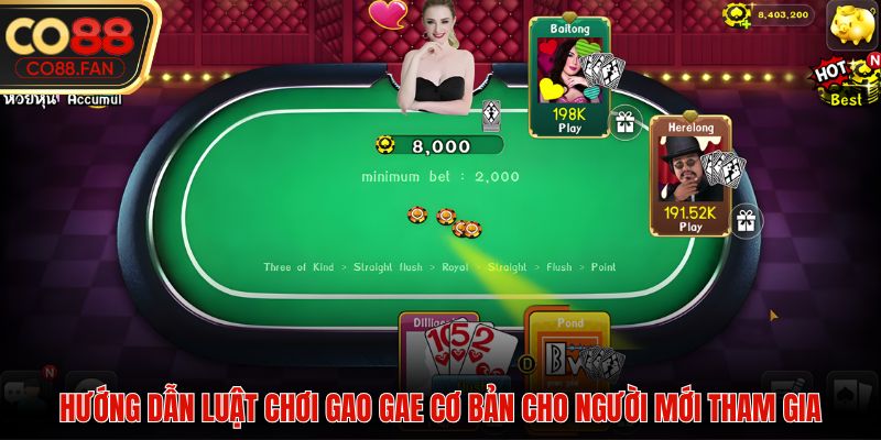 Hướng dẫn luật chơi Gao Gae cơ bản cho người mới tham gia