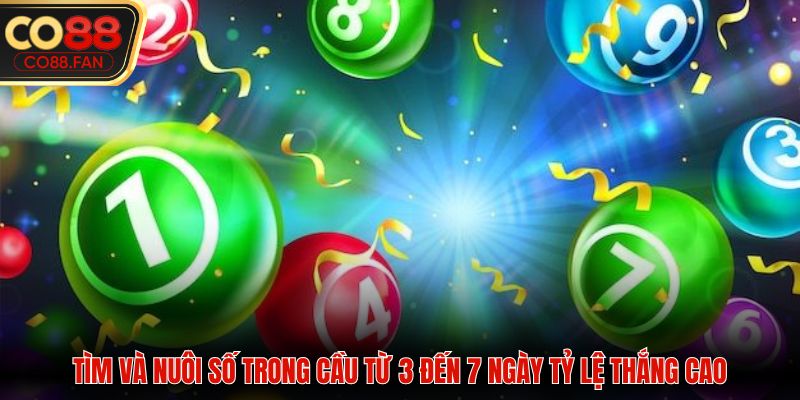 Tìm và nuôi số trong cầu từ 3 đến 7 ngày tỷ lệ thắng cao