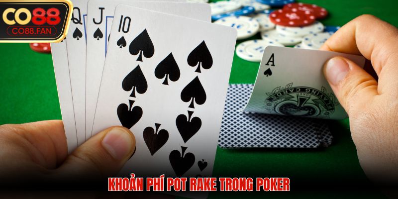 Khoản phí pot rake trong poker