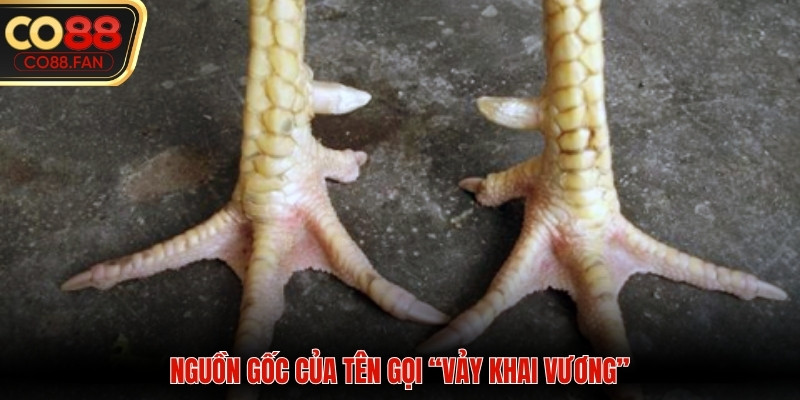 Nguồn gốc xuất hiện của vảy khai vương