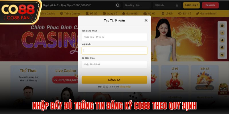 Nhập đầy đủ thông tin đăng ký CO88 theo quy định