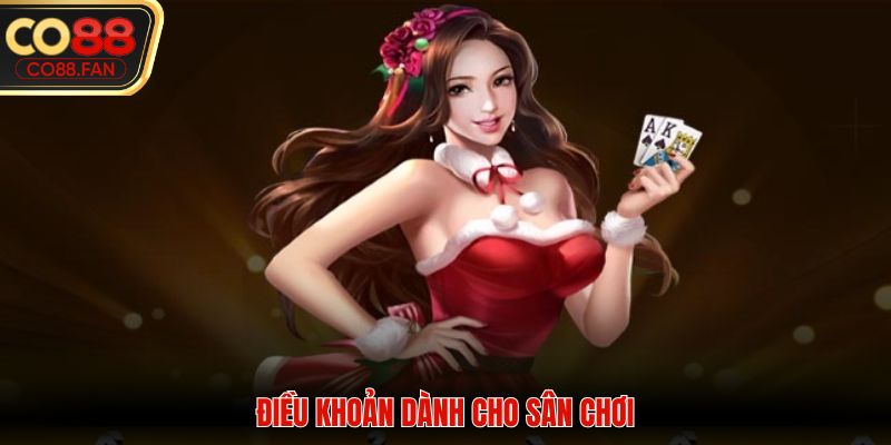 Tổng hợp điều khoản điều kiện dành cho sân chơi