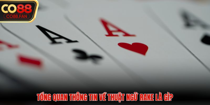 Tổng quan thông tin về thuật ngữ rake là gì?