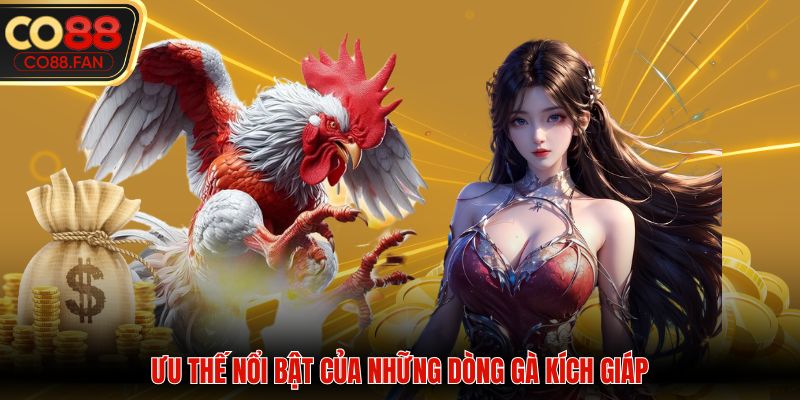 Ưu thế nổi bật của những dòng gà kích giáp