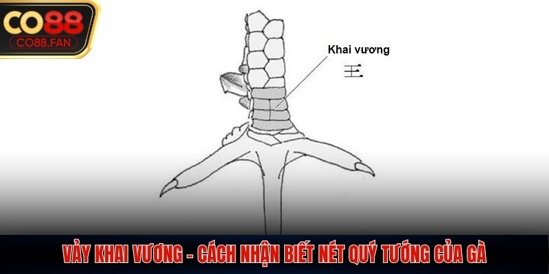 vảy khai vương